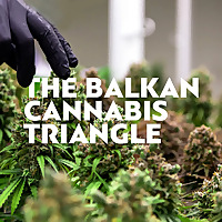 THE BALKAN CANNABIS TRIANGLE