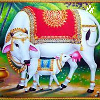 ಕಥಾಸುರಭಿ Kathasurabhi