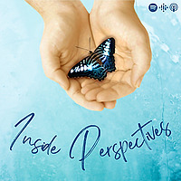 Inside Perspectives