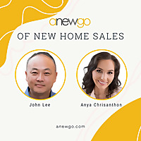 Anewgo of New Home Sales