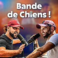 Bande de Chiens !
