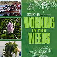 Working In The Weeds