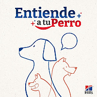 Entiende A Tu Perro