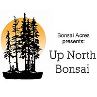 Up North Bonsai