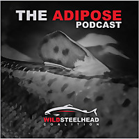 The Adipose