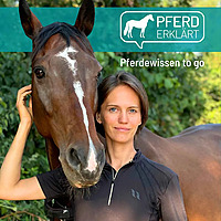 Pferd erkl&auml;rt
