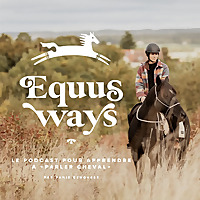 Equus ways (ex Le journal d'Iggy) - Apprendre &agrave; 'parler cheval'