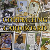 Collecting Cardboard