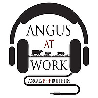 Angus at Work