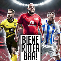 Biene Ritter B&auml;r