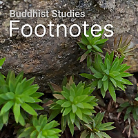 Buddhist Studies Footnotes