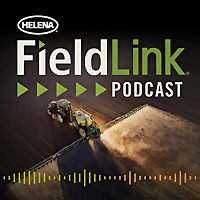 The FieldLink Podcast