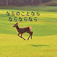 奈良のことならならならなら