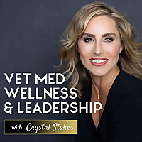 Vet Med Wellness + Leadership