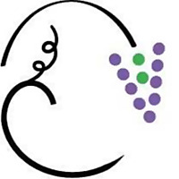 VINEYARD CHURCHES, KENYA