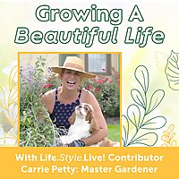 Growing a Beautiful Life