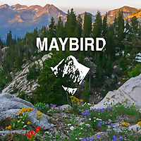 The Maybird Cycling Podcast