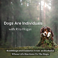 Dogs Are Individuals