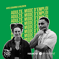 Adulte, mode d'emploi