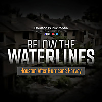 Below the Waterlines: Houston After Hurricane Harvey