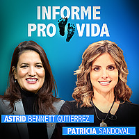 Informe provida