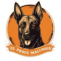 M&aacute;s que Adiestramiento | &Aacute;lvaro L&oacute;pez