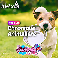 Chronique Animali&egrave;re - Radio M&eacute;lodie