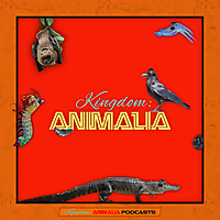 Kingdom: Animalia - A Zoology Podcast for Kids