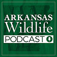 Arkansas Wildlife