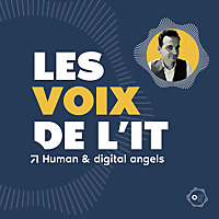 Les voix de l'IT