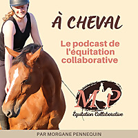 &Agrave; cheval, le podcast de l'&eacute;quitation collaborative