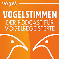 Vogelstimmen