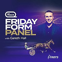Friday Form Panel