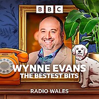 Wynne Evans The Bestest Bits
