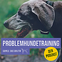 Problemhundetraining