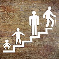 The Generations Game