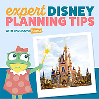 Expert Disney Planning Tips by Undercover Tourist