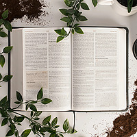 Sermons from Faith Mennonite Church
