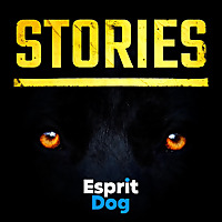 Stories - Esprit Dog
