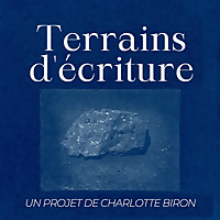 Terrains d'&eacute;criture