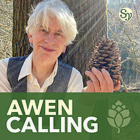 Awen Calling: A Druid Awakening