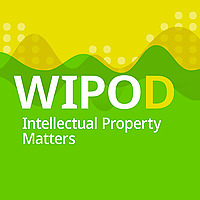 Intellectual Property Matters