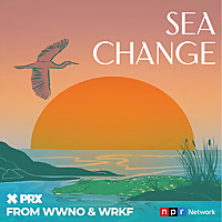 Sea Change