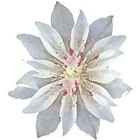 Bits, Bites and Buzz