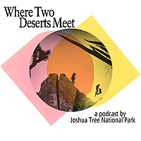 Where Two Deserts Meet