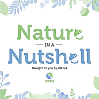 Nature In A Nutshell