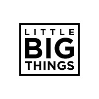 LITTLE BIG THINGS