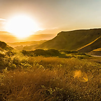 ==== 'كلمات الحياة' ، 'الأخبار السارة' ، 'ترانيم الإنجيل' - اللغات الرئيس