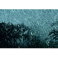 Sleepy Rain Sounds