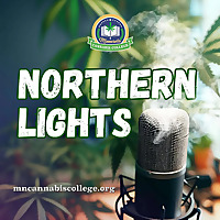 Northern Lights